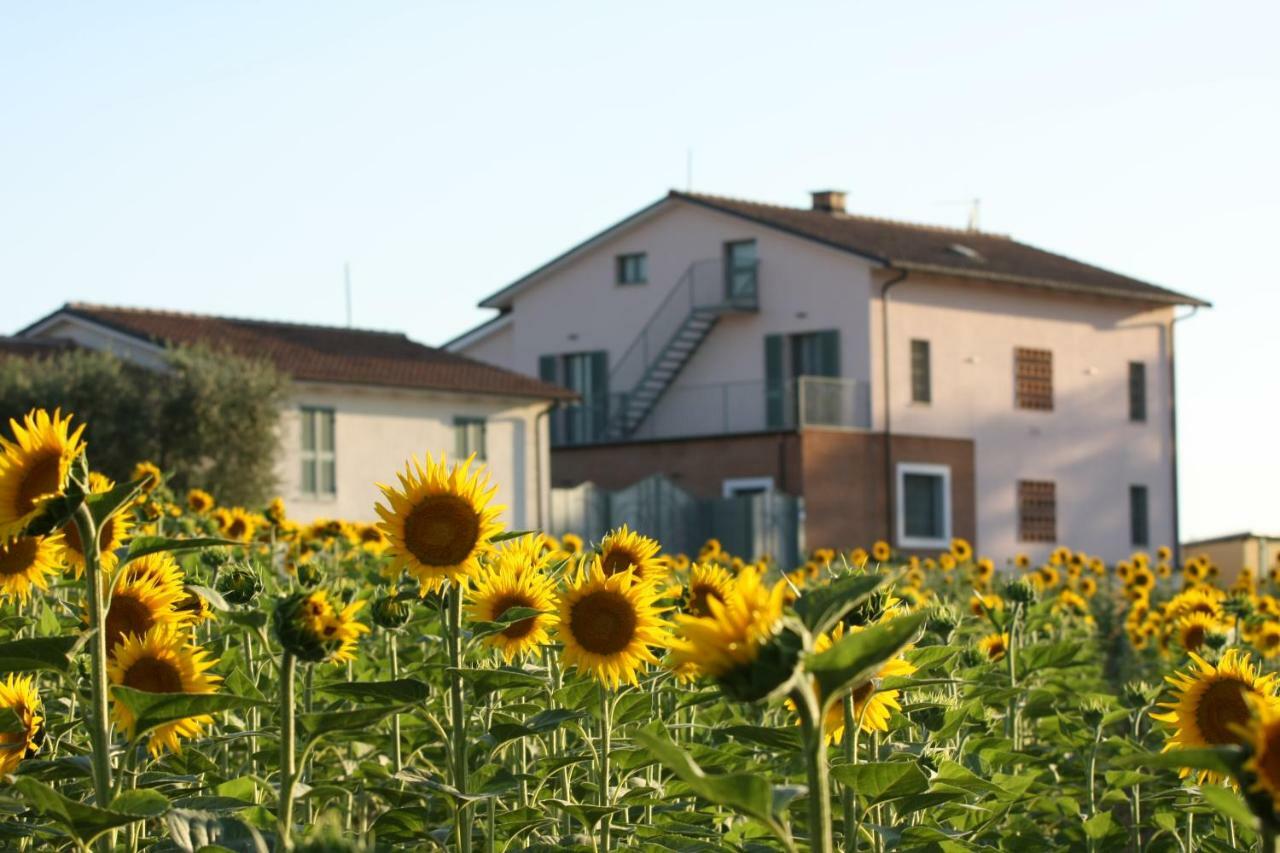 فيلا La Collina Del Girasole Montecastrilli المظهر الخارجي الصورة