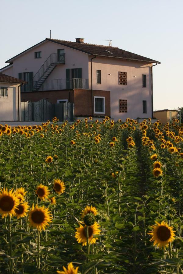فيلا La Collina Del Girasole Montecastrilli المظهر الخارجي الصورة